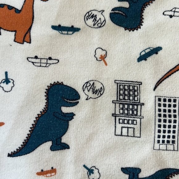 Boy dinosaur rawr long sleeve - Picture 3 of 3